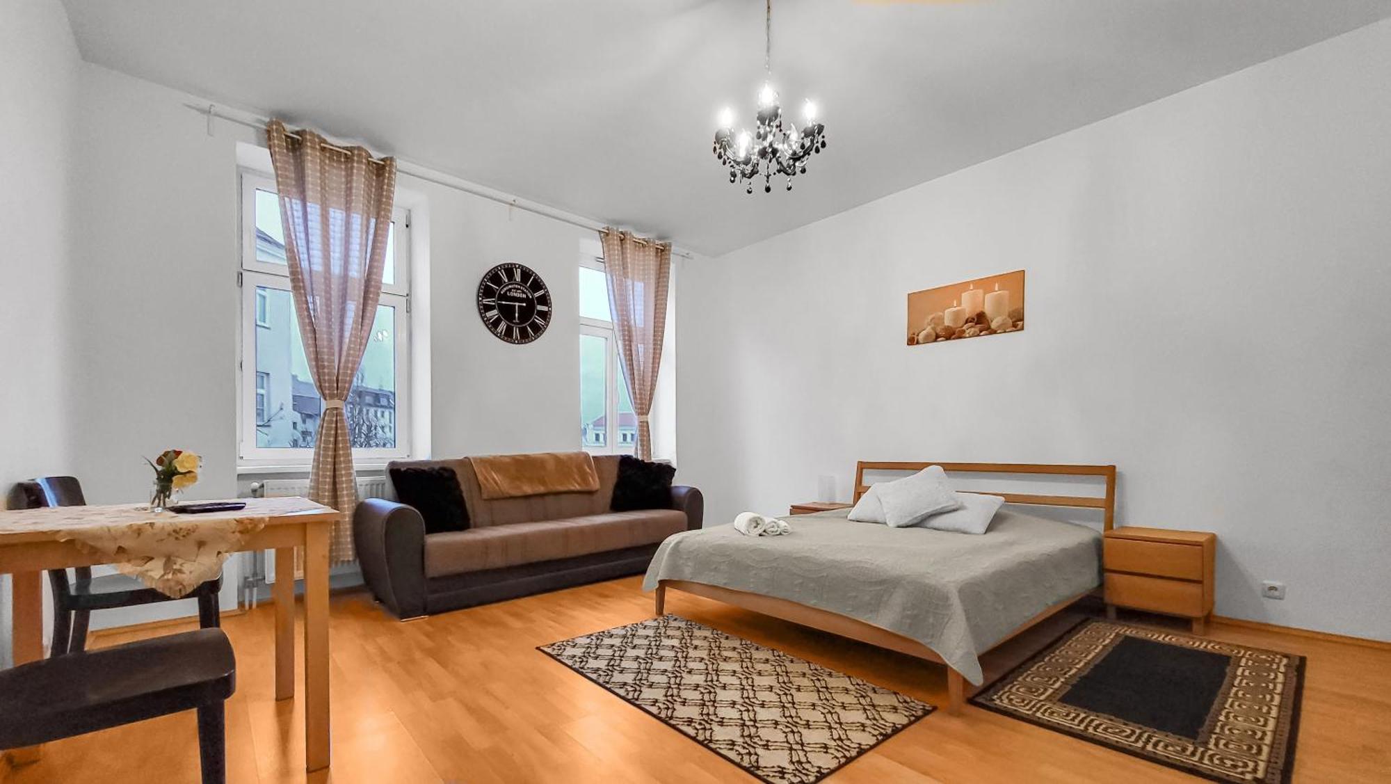 Davidov Stays Danube Wien Rom bilde