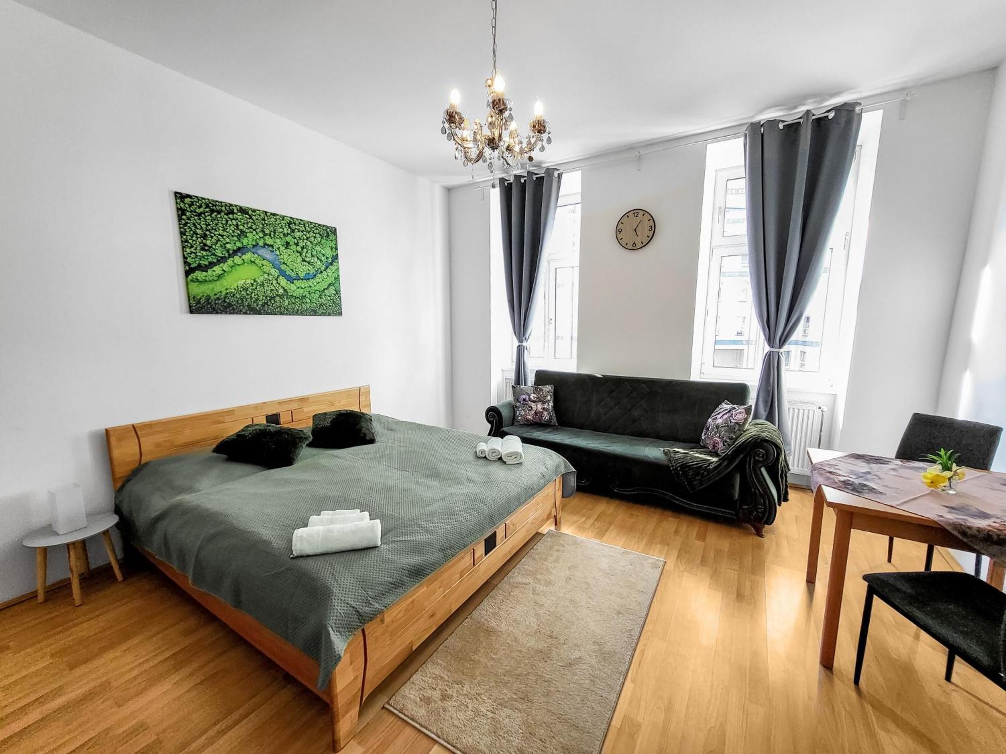 Davidov Stays Danube Wien Rom bilde